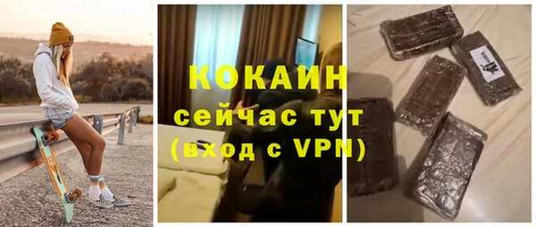 крисы Бородино