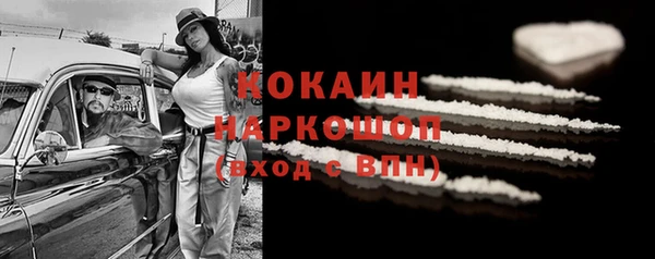 крисы Бородино
