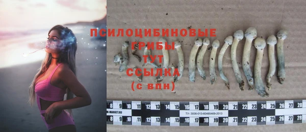 ALPHA PVP Снежногорск