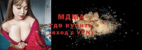 крисы Бородино