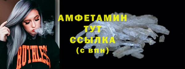 крисы Бородино