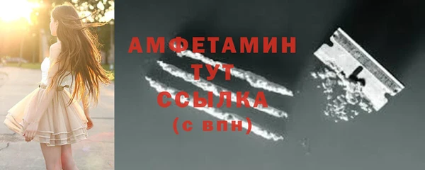 крисы Бородино