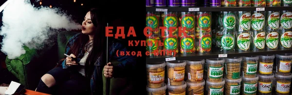 крисы Бородино